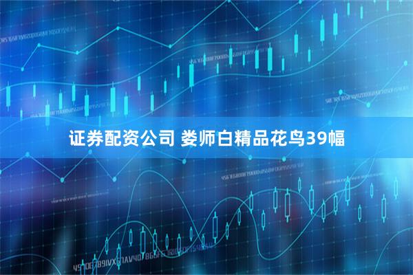 证券配资公司 娄师白精品花鸟39幅