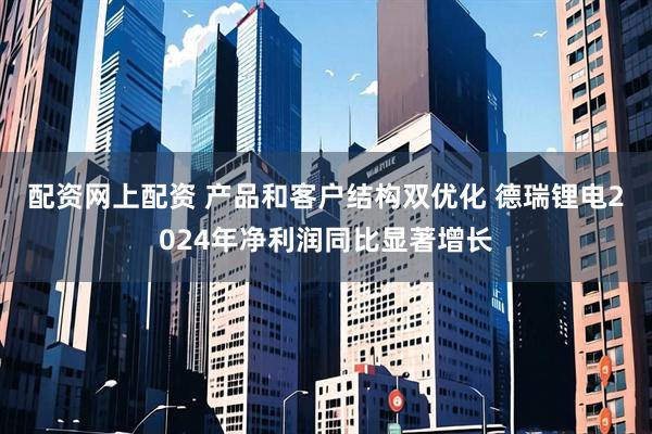 配资网上配资 产品和客户结构双优化 德瑞锂电2024年净利润同比显著增长